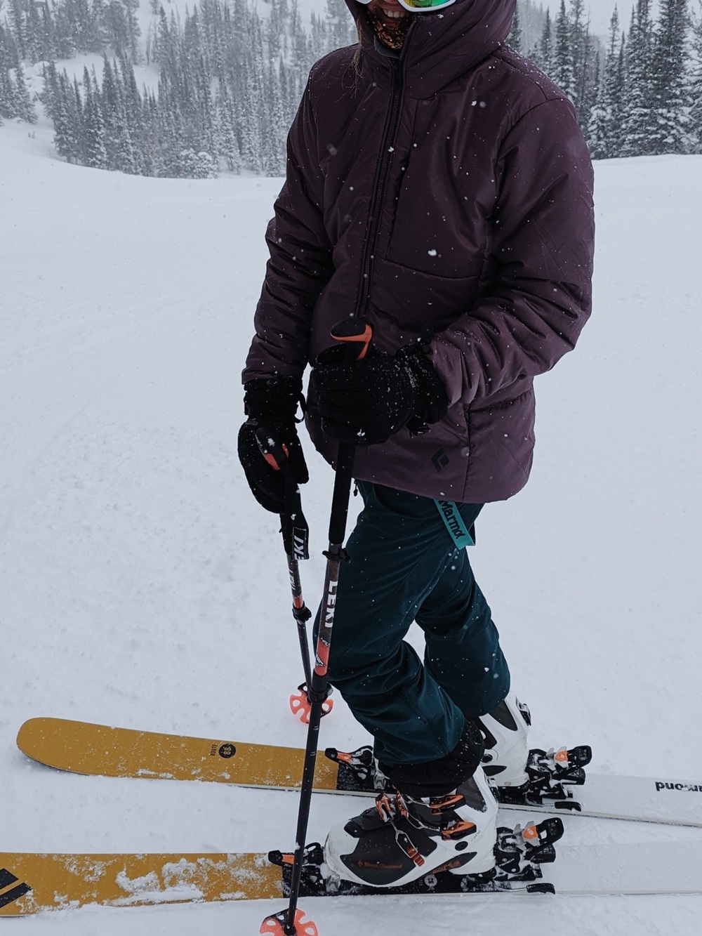 Marmot Blu Softshell Pants - Picture 2 of 3
